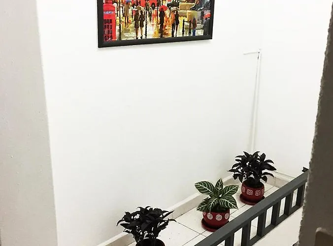 Terraza Tlalpan-acoxpa *